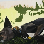 Molly, resting