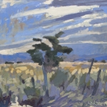 Backyard view, Carrizozo