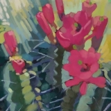 Hedgehog-in-bloom
