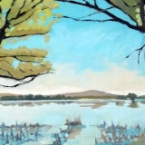 Marsh-at-Bosque-del-Apache