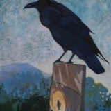 Messenger-raven-Cerrillos-NM
